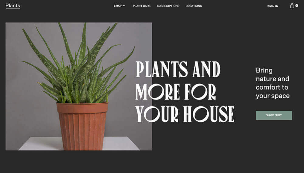 Plants Store