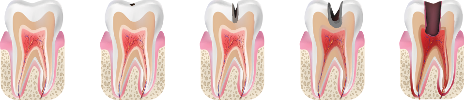510-shutterstock559240654.png