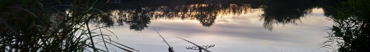 011012001696591-tarkaswimsmorning-15410613252303.png
