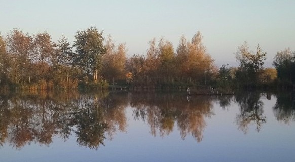 George's Lake George's Lake at Tarka Swims