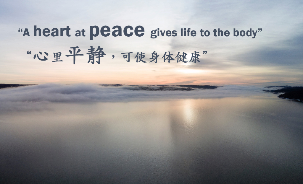 168-website-peace.jpg