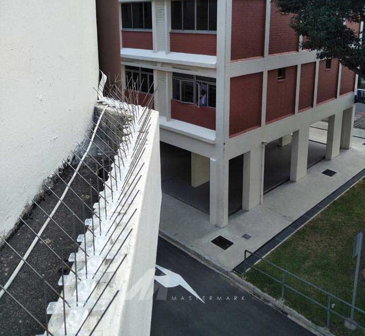 Bird Proofing Tools bird spikes and bird netting for bird proofing