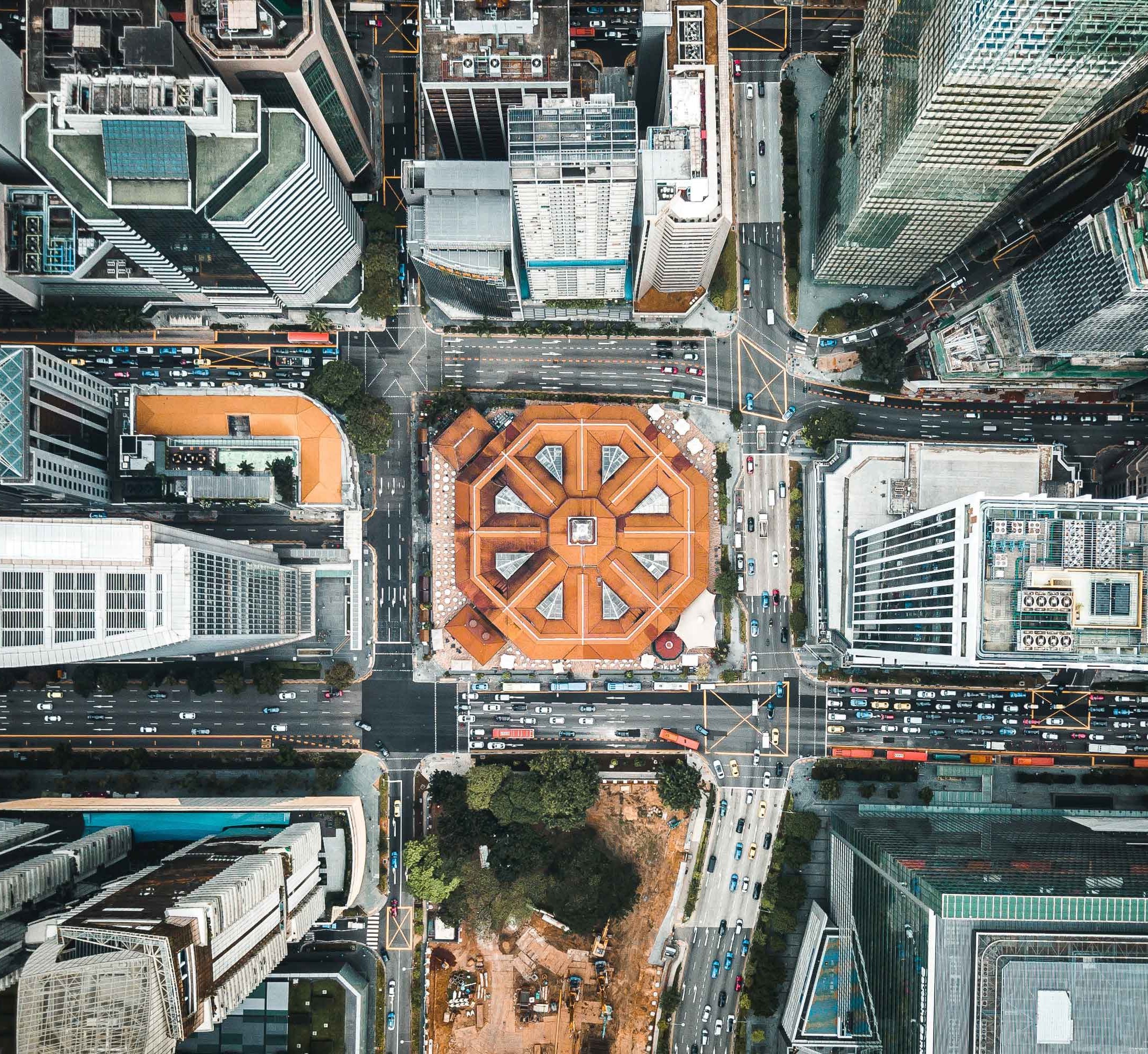 Managing Wildlife Aerial view of city