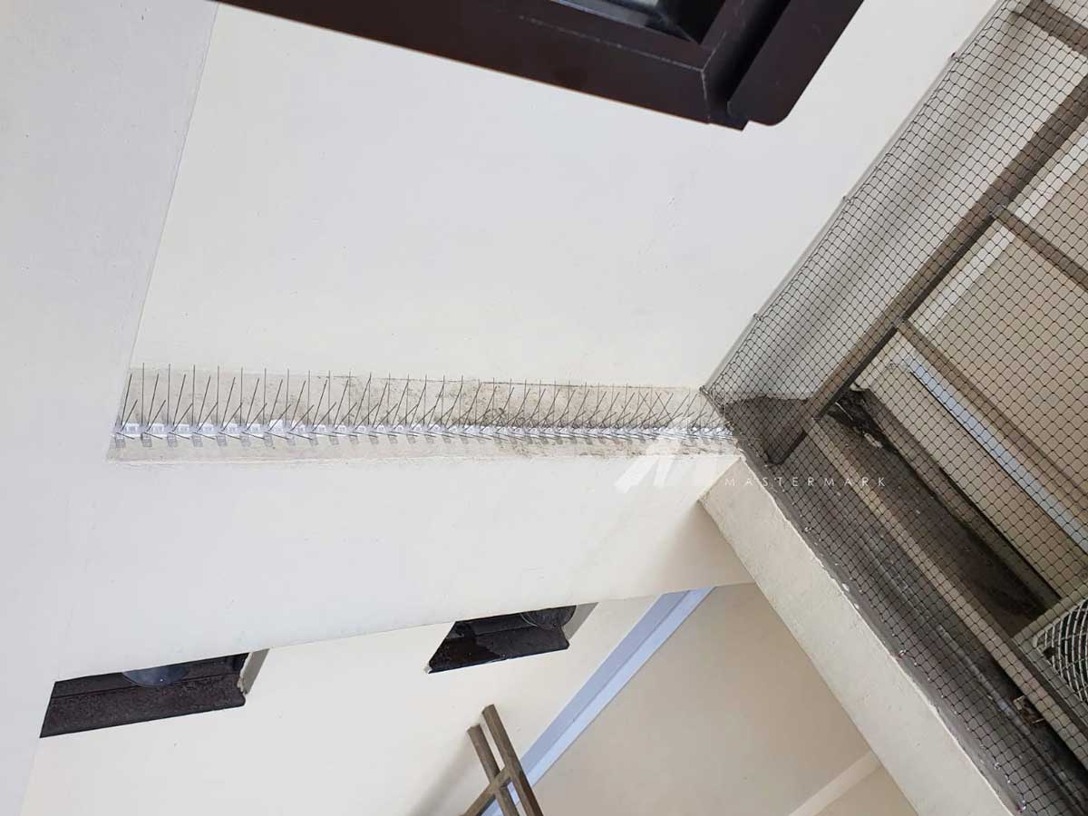 Bird Spikes on Ledge masterspikes