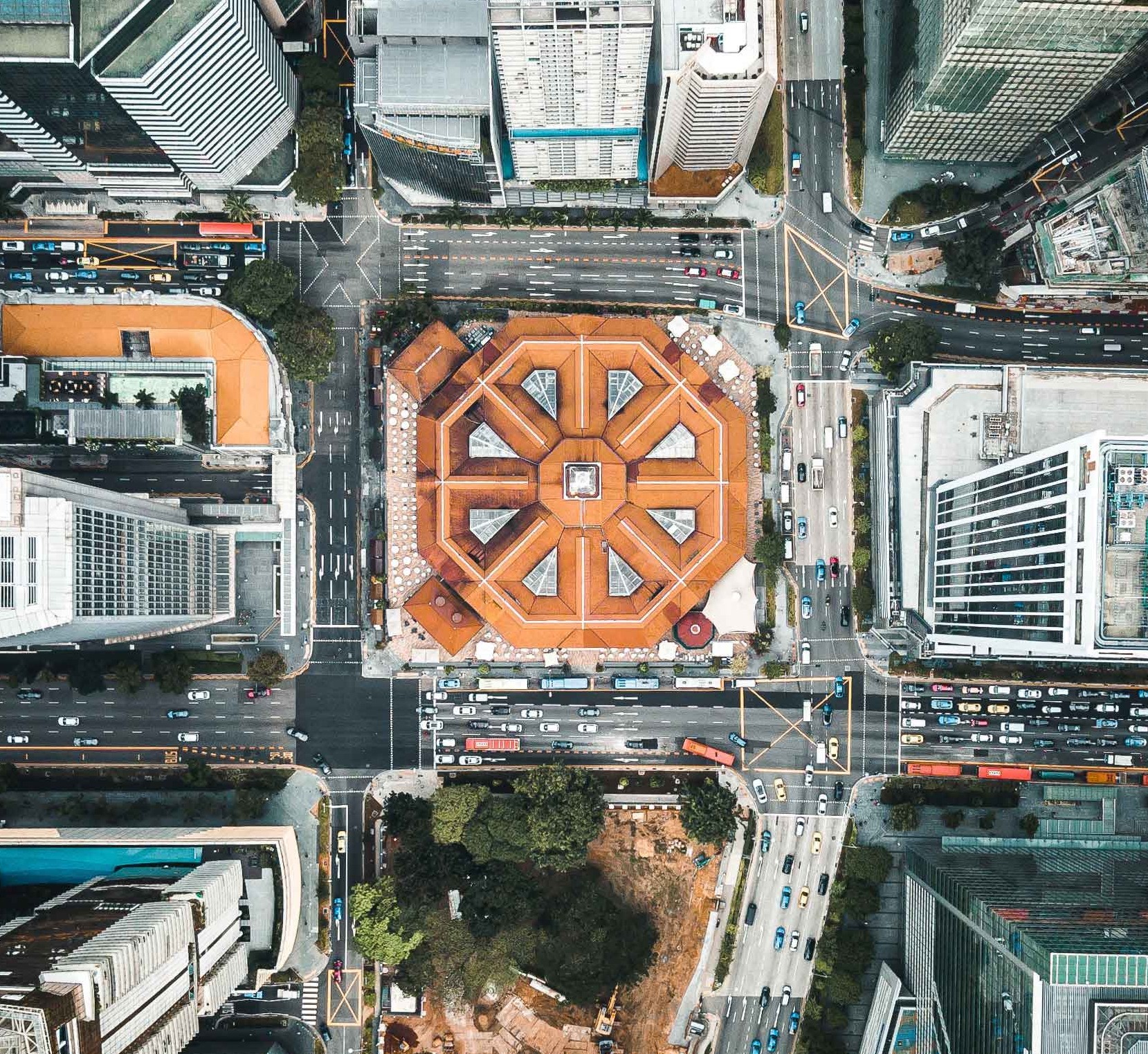 Managing Wildlife Aerial view of city