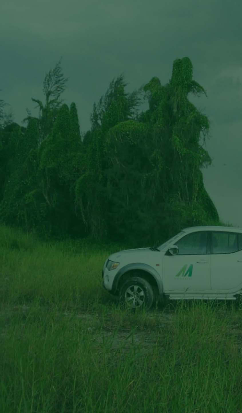 Wildlife Consultancy environment planning
