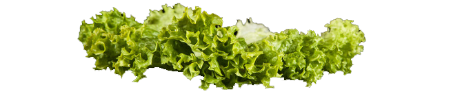 00683143274-h2.png