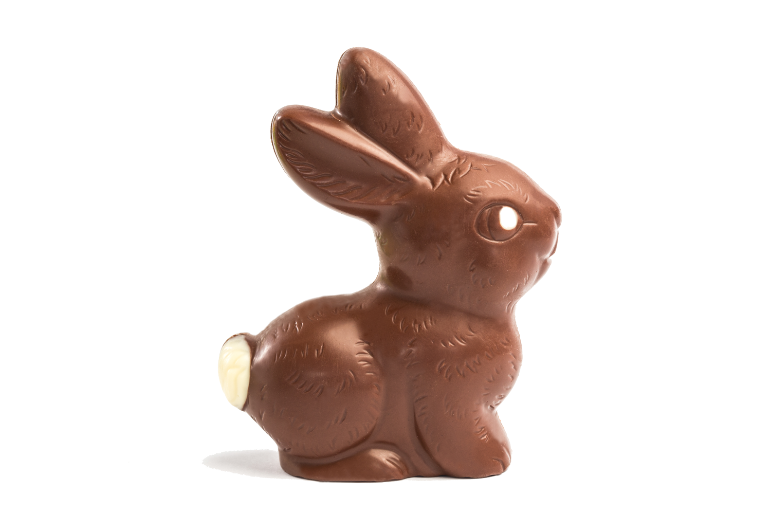 111-shutterstock131507735-99.png