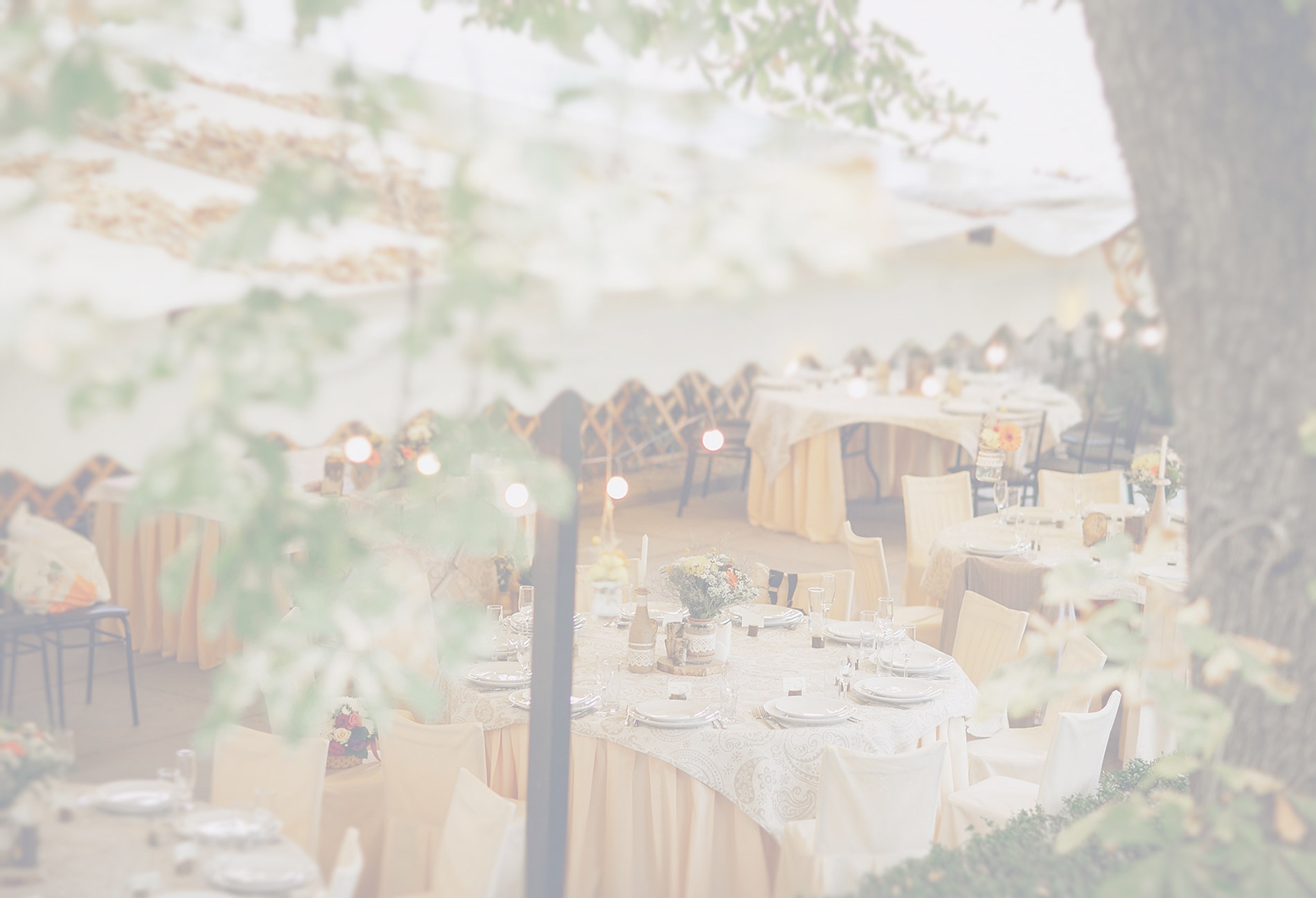 162-image-wedding2-1.jpg