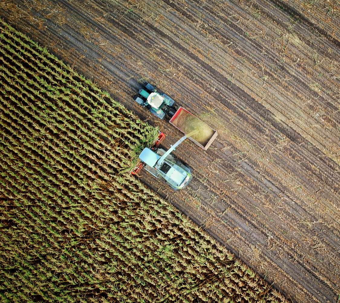 795-field.jpg