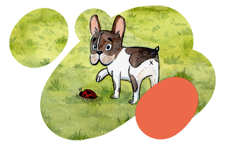 760-look.png