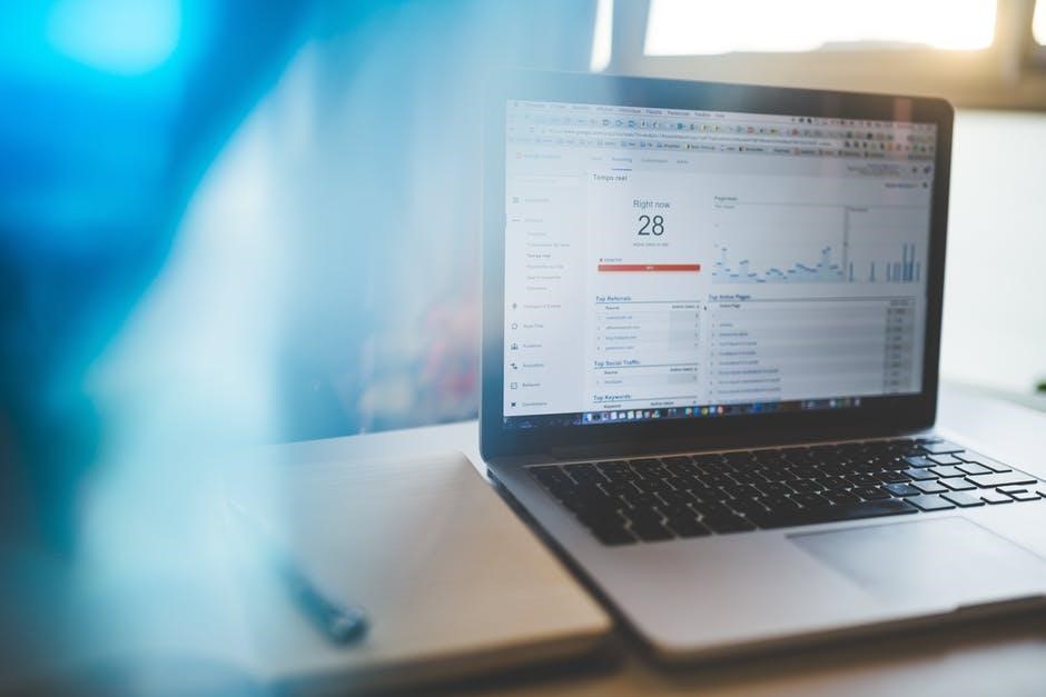 website analytics