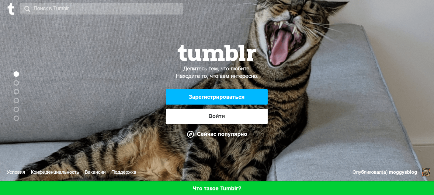 Тамблр платформа