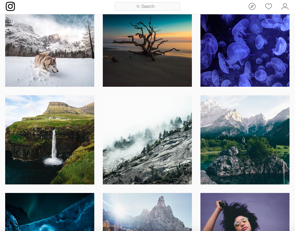 engaged Instagram following